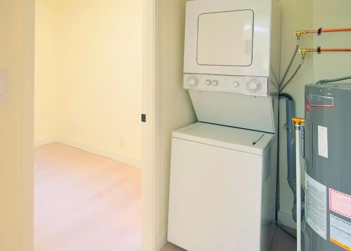 Newly Renovated 1 Bedroom Condo In Japantown! Near Gastown & Railtown!
